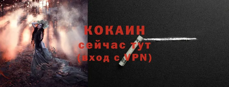 как найти   Пошехонье  COCAIN Боливия 